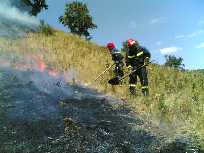 campagna-aib-coreir campagna-aib-coreir